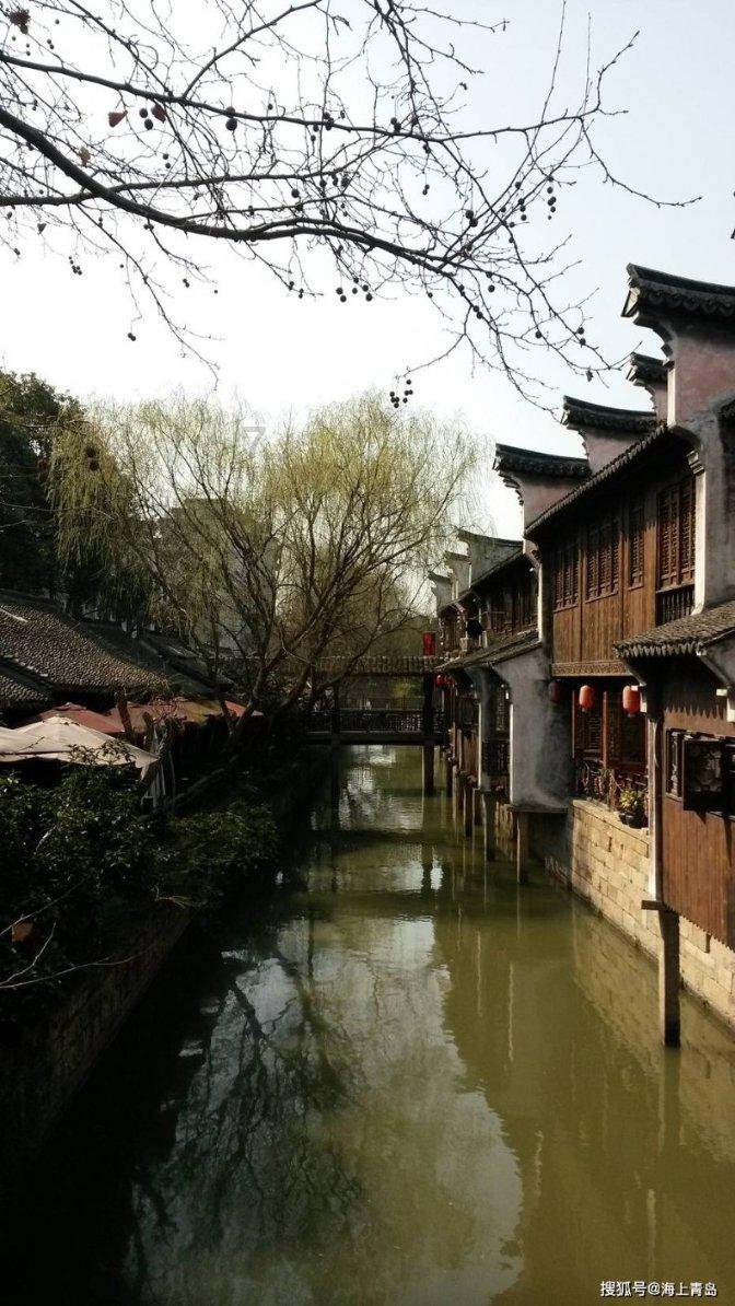 探索蜗牛世界,尽在腌胡萝卜怎么腌好吃又脆问答平台